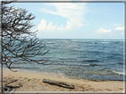 foto Spiagge dell'Isola di Oahu